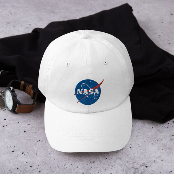 Classic NASA Logo 