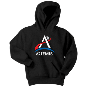 Project Artemis Youth Hoodie Sweatshirt